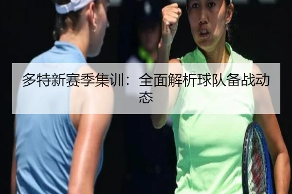 多特新赛季集训：全面解析球队备战动态